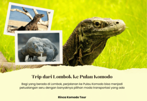 Trip dari Lombok ke Pulau Komodo: Rute, Itinerary, dan Tips Perjalanan